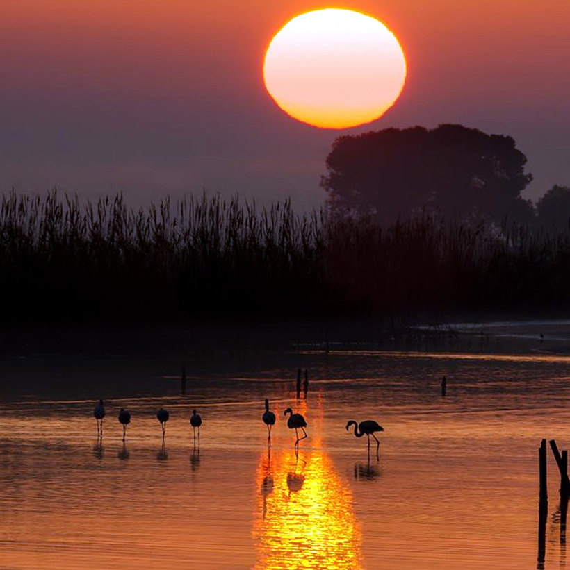 Paysages du Delta, Somnis del Delta, Deltebre