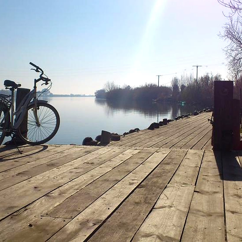 Des kilomètres de voies vertes et pistes cyclables dans le Delta de l'Ebre, location famille à Deltebre, Somnis del Delta, Deltebre